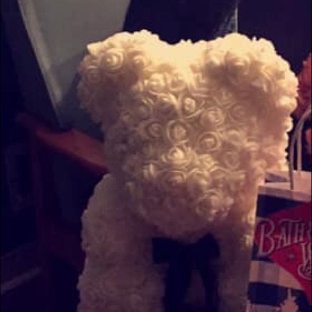 Rose bear